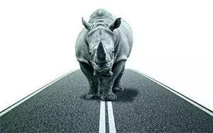 臣通觀點丨小心，中國產(chǎn)業(yè)園區(qū)的“灰犀?！庇謥砹耍?/>
							</a>
						</div>
						<div   id=